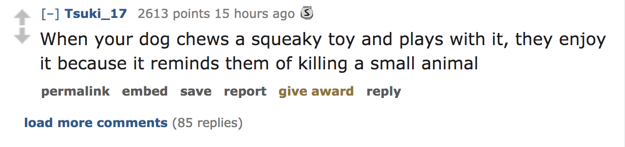 When your dog chews a squeaky toy and plays with it, they enjoy it because it reminds them of killing a small animal permalink embed save report give award load more 85 replies