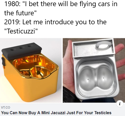 testicle hot tub - 1980 "I bet there will be flying cars in the future" 2019 Let me introduce you to the "Testicuzzi" Vt.Co You Can Now Buy A Mini Jacuzzi Just For Your Testicles