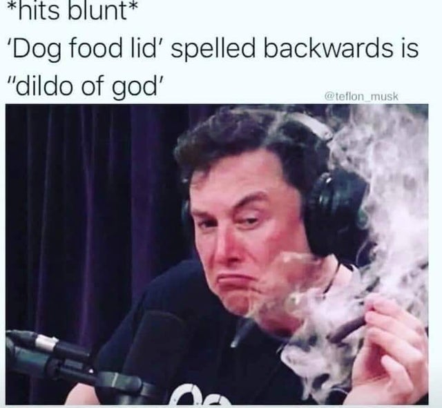 top memes - hits blunt 'Dog food lid' spelled backwards is "dildo of god musk