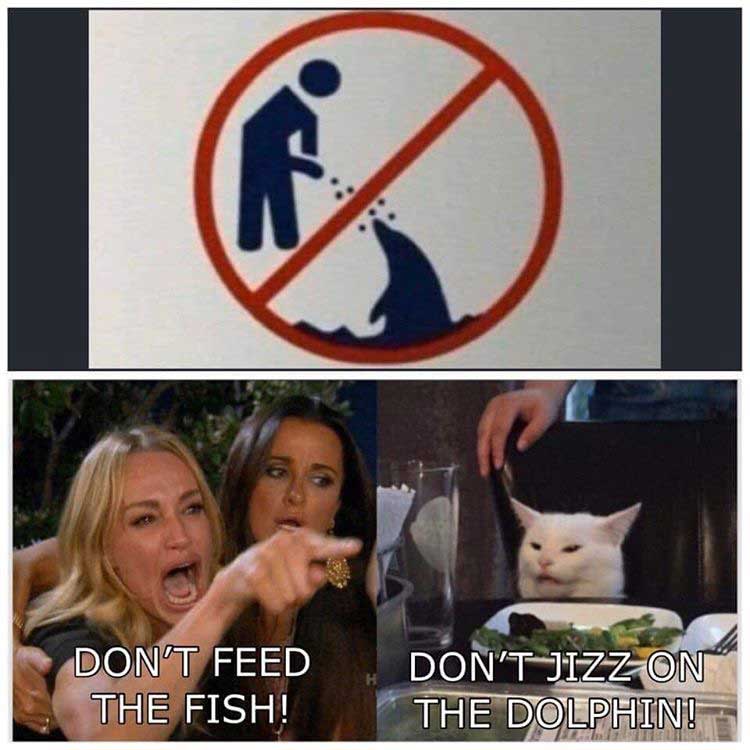 Dont feed the dolphin sign with a woman yelling at a cat meme where the woman is yelling 'dont feed the fish' and the cat is yelling 'dont jizz on the dolphin'