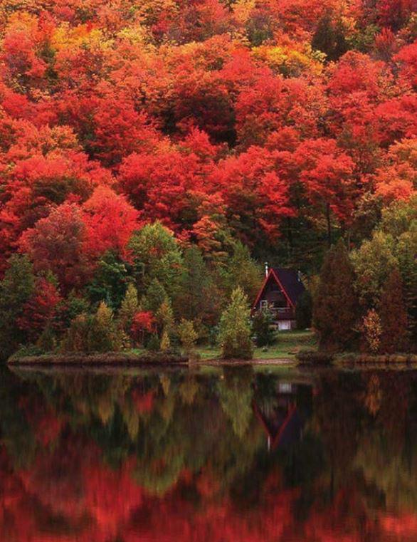 autumn lake quebec