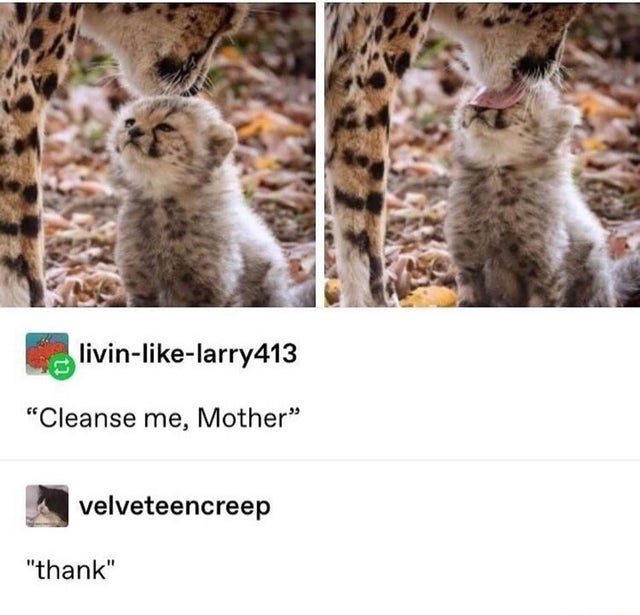 cleanse me mother - livinlarry413 Cleanse me, Mother" velveteencreep "thank"
