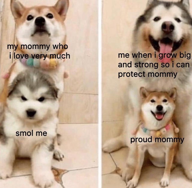 my mommy who i love very much me when i grow big and strong so i can protect mommy smol me proud mommy