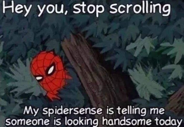 hey you stop scrolling - Hey you, stop scrolling My Spidersense is telling me someone is looking handsome today