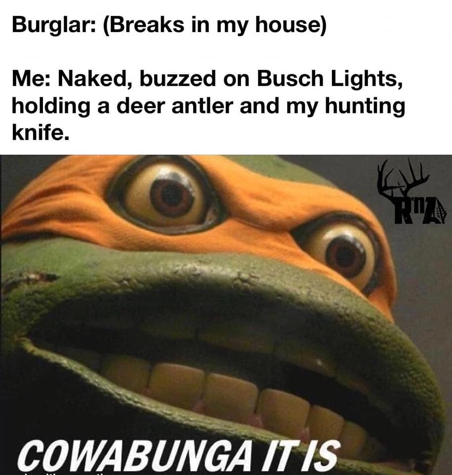 cowabunga meme - Burglar Breaks in my house Me Naked, buzzed on Busch Lights, holding a deer antler and my hunting knife. Cowabunga It Is