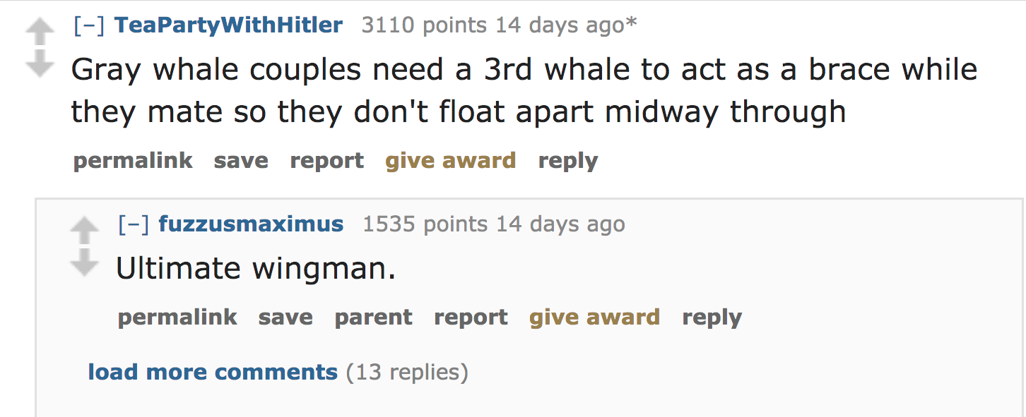 ask reddit facts - Gray whale couples need a 3rd whale to act as a brace while they mate so they don't float apart midway through permalink save report give award fuzzusmaximus 1535 points 14 days ago Ultimate wingman. permalink…