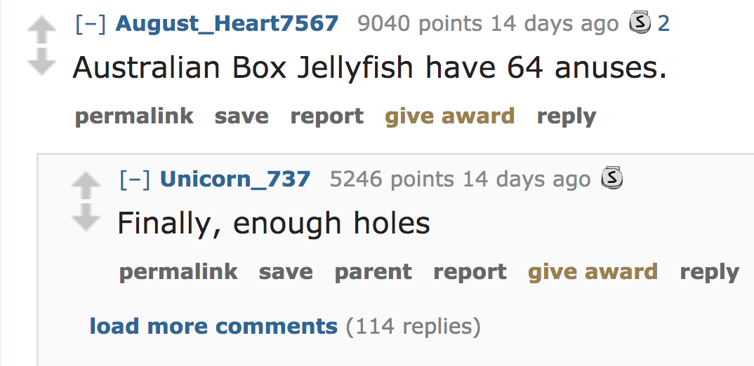 ask reddit facts - Australian Box Jellyfish have 64 anuses. permalink save report give award Unicorn_737 5246 points 14 days ago 3 Finally, enough holes permalink save parent report give award load more 114 replies