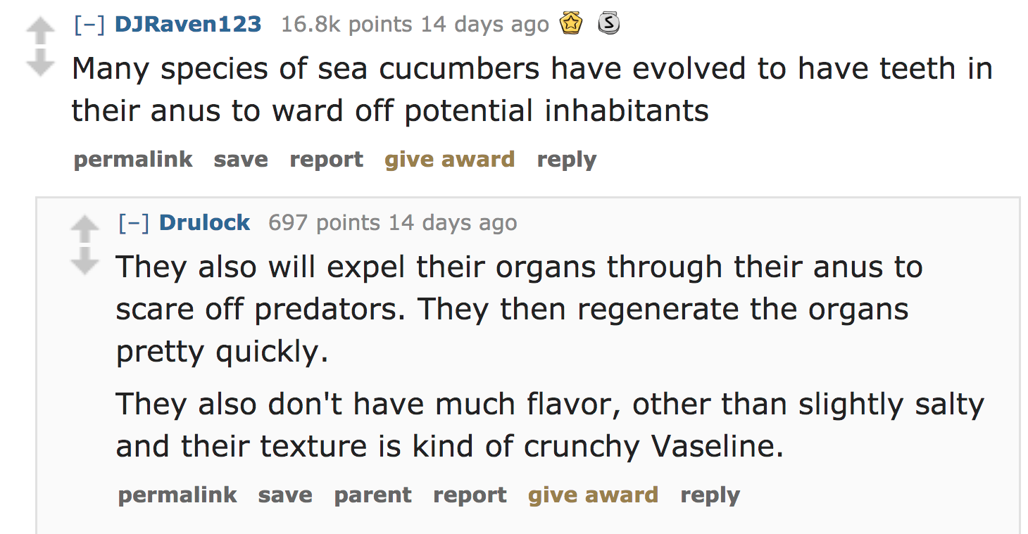 ask reddit facts - Many species of sea cucumbers have evolved to have teeth in their anus to ward off potential inhabitants permalink save report give award Drulock 697 points 14 days ago They also will expel their organs through their anus…