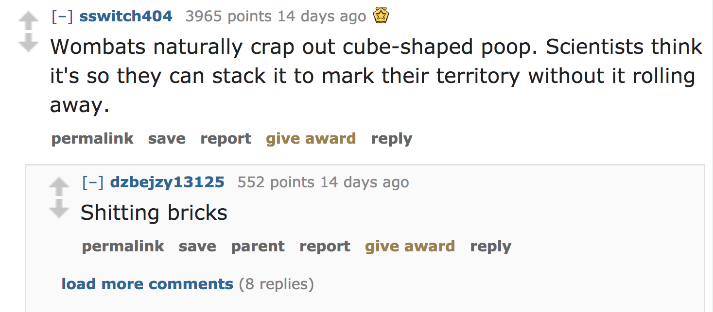 ask reddit facts - Wombats naturally crap out cubeshaped poop. Scientists think it's so they can stack it to mark their territory without it rolling away. permalink save report give award dzbejzy13125 552 points 14 days ago Shitting bricks…