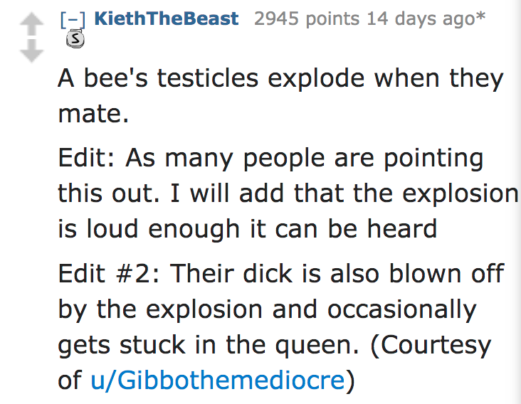 ask reddit facts - A bee's testicles explode when they mate. Edit As many people are pointing this out. I will add that the explosion is loud enough it can be heard Edit Their dick is also blown off by the explosion and occasionally gets…