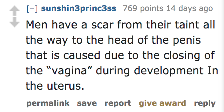 ask reddit facts - Men have a scar from their taint all the way to the head of the penis that is caused due to the closing of the