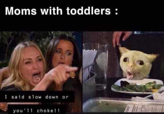 woman yelling at a cat meme with a caption that says 'moms with toddlers' and the woman is yelling 'i said slow down or youll choke' and the cat is choking