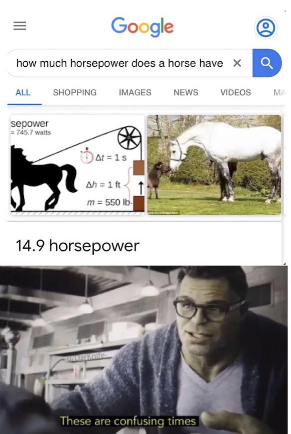best meme - sexual abuse meme - Google how much horsepower does a horse have X All Shopping Images News Videos Ma sepower 745.7 watts Dat1s Ah 1ft m 550 lb 14.9 horsepower These are confusing times