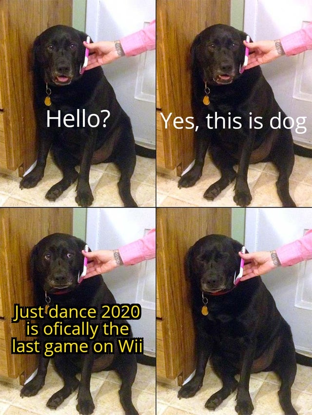 best meme - dog talking on phone meme - Hello? Yes, this is dog Just dance 2020 is ofically the last game on Wii