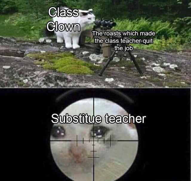 best meme - sad cat sniper - Class Clown The roasts which made the class teacher quit the job Substitue teacher