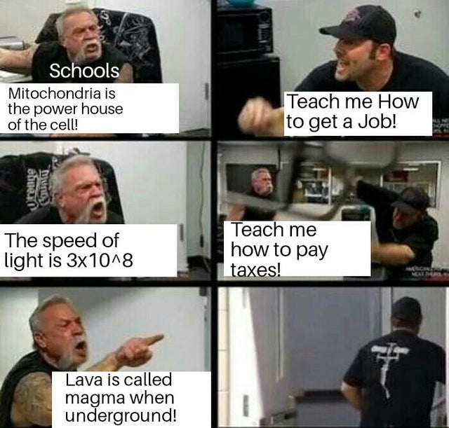 best meme - c++ vs java meme - Schools Mitochondria is the power house of the cell! Teach me How to get a Job! 2000e The speed of light is 3x10^8 Teach me how to pay taxes! Lava is called magma when underground!