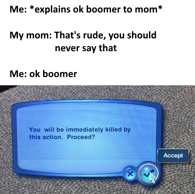 best meme - you will be immediately killed by this action - Me explains ok boomer to mom My mom That's rude, you should never say that Me ok boomer You will be immediately killed by this action. Proceed? Accept
