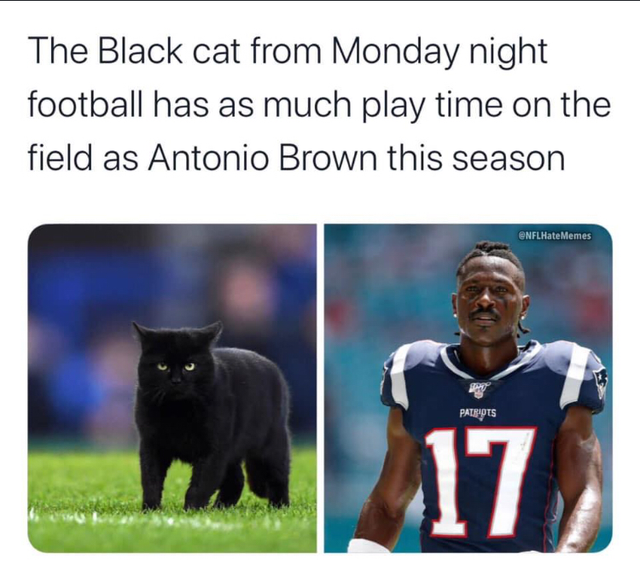 photo caption - The Black cat from Monday night football has as much play time on the field as Antonio Brown this season ENFLHate Memes Patriots