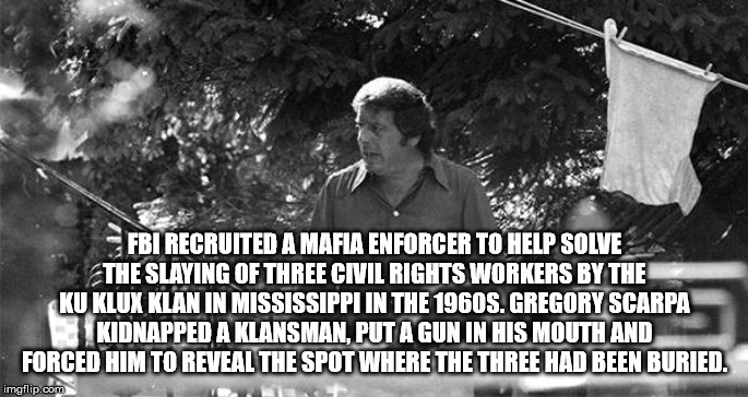tree - Fbi Recruited A Mafia Enforcer To Help Solve The Slaying Of Three Civil Rights Workers By The Ku Klux Klan In Mississippiin The 1960S. Gregory Scarpa Kidnapped A Klansman. Put A Gun In His Mouth And Forced Him To Reveal The Spot Where The Three Had