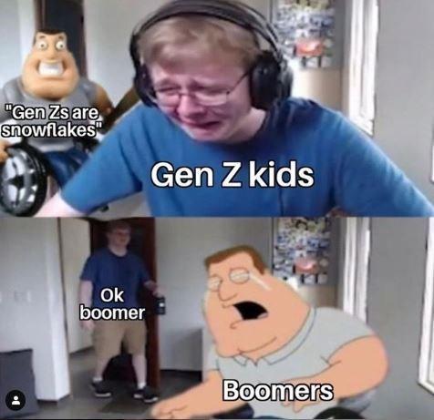 ok boomer meme - ok boomer meme -