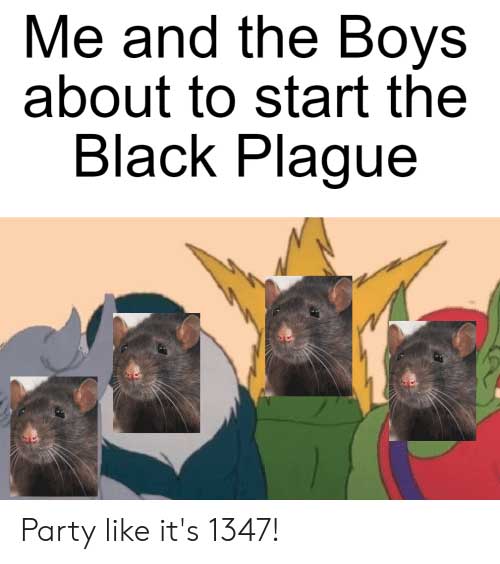 Me and the boys meme where are the characters are rats with the caption 'me and teh boys about to start the Black Plague'