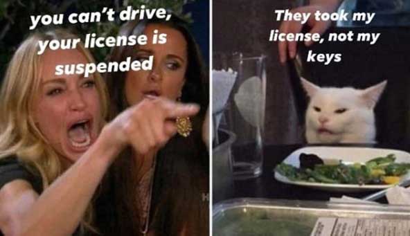 woman yelling at a cat meme where the woman is yelling 'you cant drive your license is suspended' and the cat is saying 'they took my license not my keys'