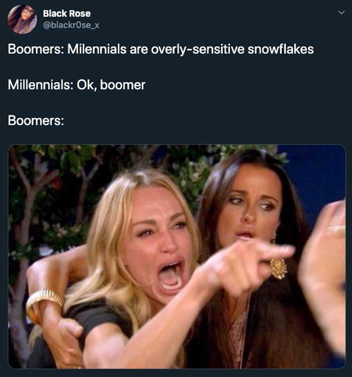 Tweet that says 'boomers - milennials are overly sensitive snowflakes' 'millenials - ok, boomer' 'boomers' and then the image of the woman yelling from the woman yelling at a cat meme