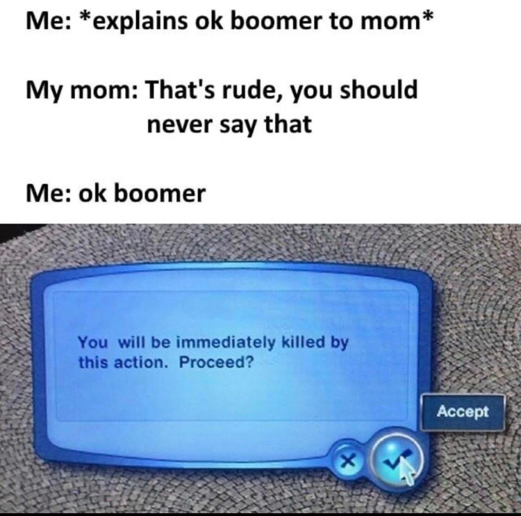 ok boomer meme that says 'me - explains ok boomer to mom' 'my mom - thats rude, you should never say that' 'me - ok boomer' Image says 'you will be immediately killed by this action. Proceed?'