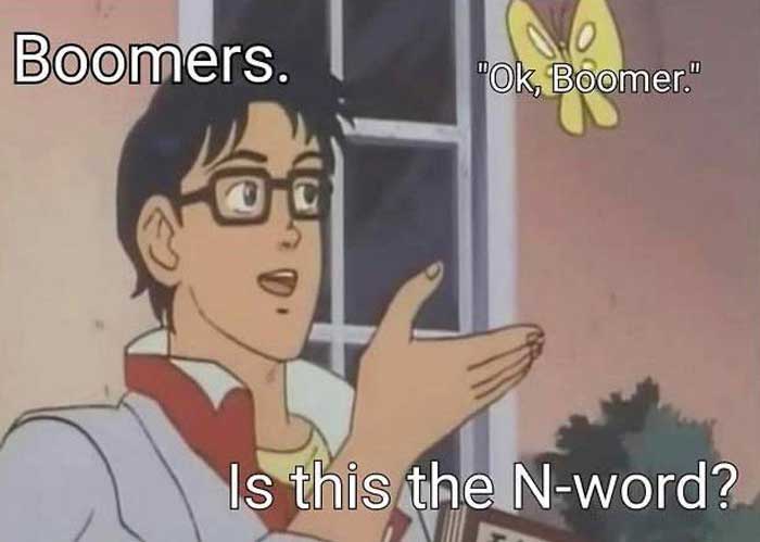Is this is a pigeon meme that says for boomers asking if 'ok boomer' is the n-word