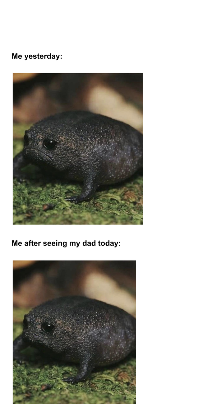 best wholesome meme - terrestrial animal - Me yesterday Me after seeing my dad today