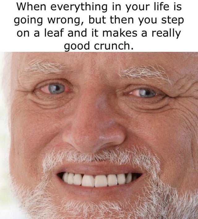 best wholesome meme - funny meme - When everything in your life is going wrong, but then you step on a leaf and it makes a really good crunch.