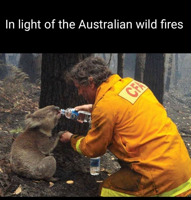 best wholesome meme - black saturday bush fires - In light of the Australian wild fires