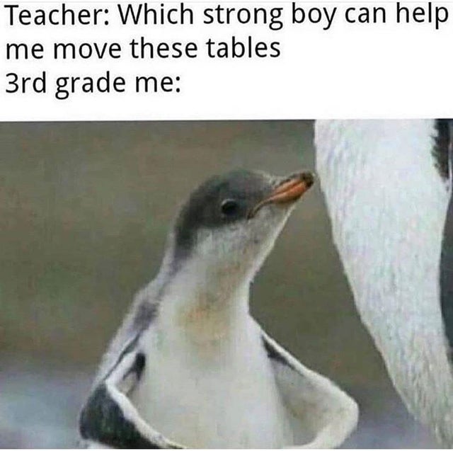 best wholesome meme - strong boy meme - Teacher Which strong boy can help me move these tables 3rd grade me