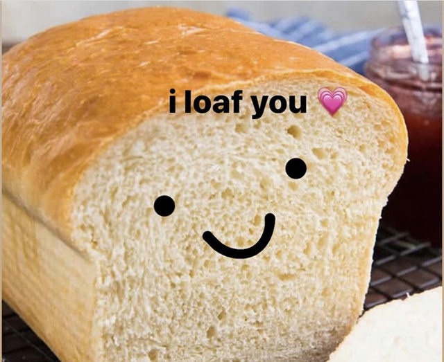 best wholesome meme - white bread loaf - i loaf you