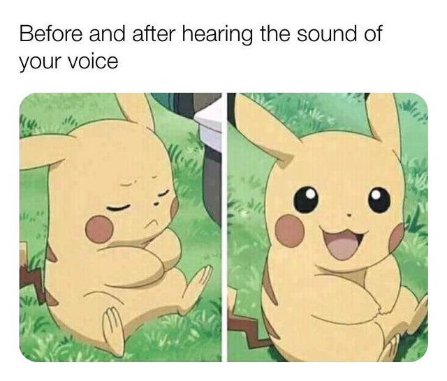 best wholesome meme - wholesome meme - Before and after hearing the sound of your voice