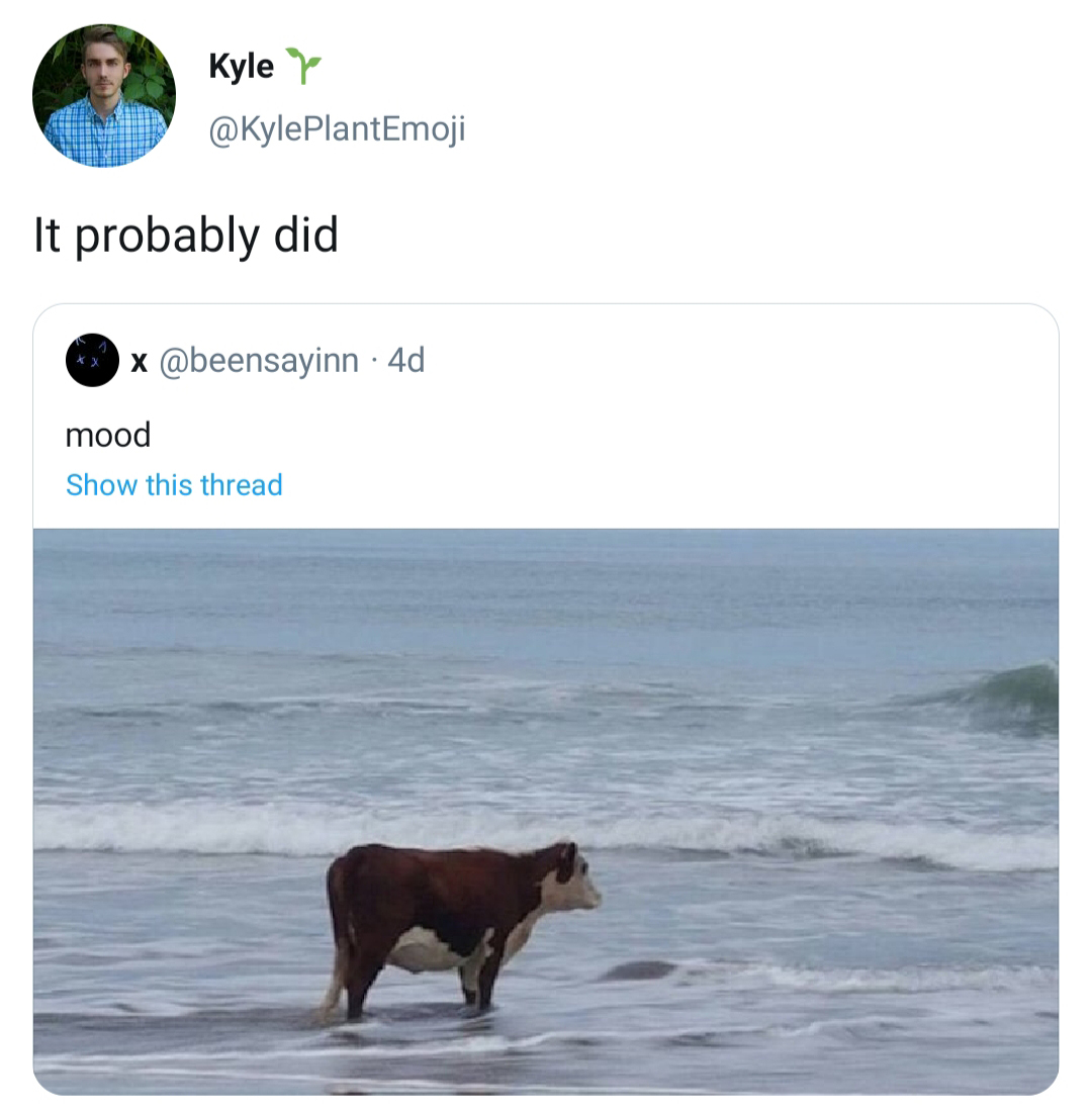 whatever this cow is going through i can relate - Kyler It probably did Xxx 4d mood Show this thread