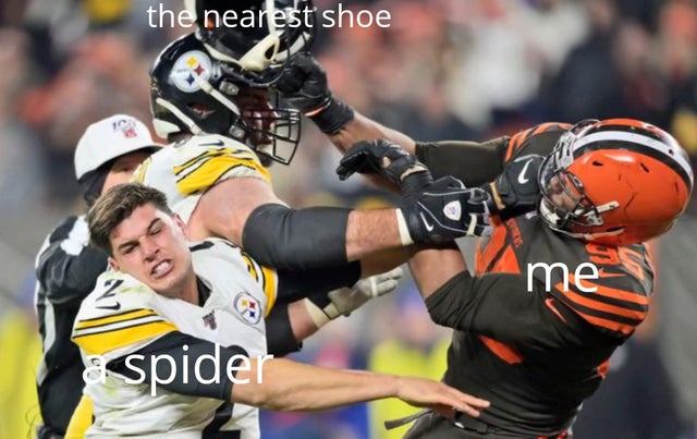 myles-garrett-meme-tackle - the nearest shoe me spider