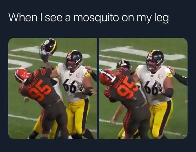 myles-garrett-meme-canadian football - When I see a mosquito on my leg