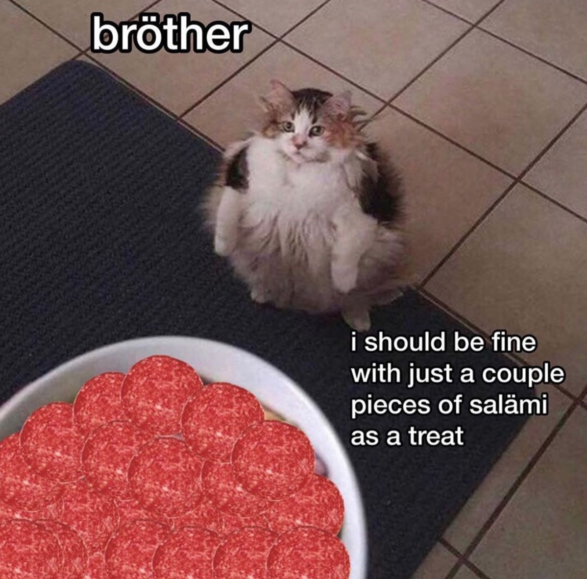 salami cat - fruit loops brother - brtoher i should be fine with just a couple pieces of salami as a treat