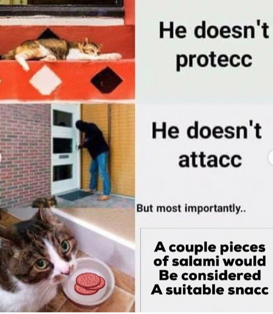he doesnt protecc he doesnt attacc - But most importantly.. A couple pieces of salami would Be considered A suitable snacc