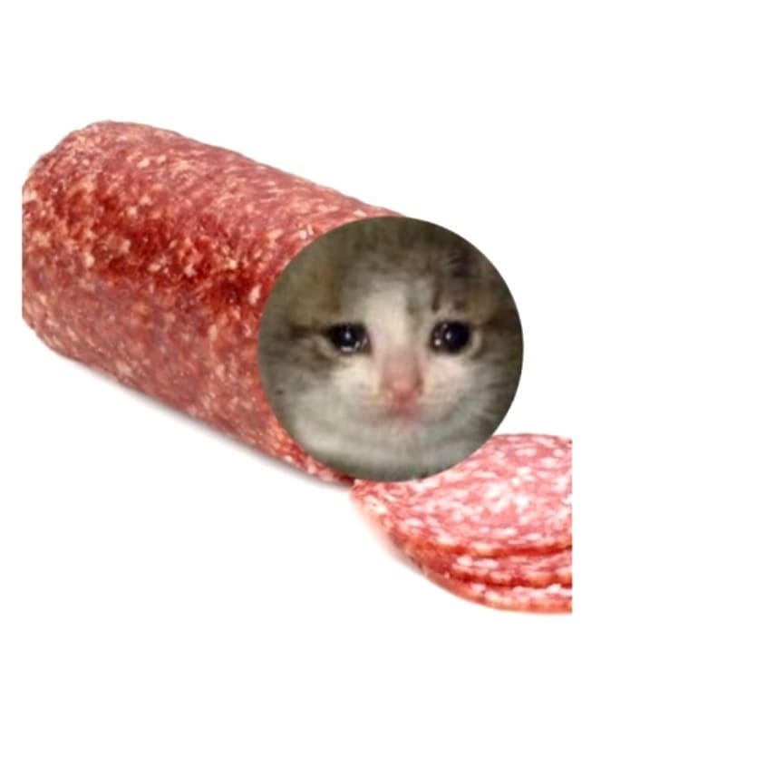 cat as a piece of salami meme