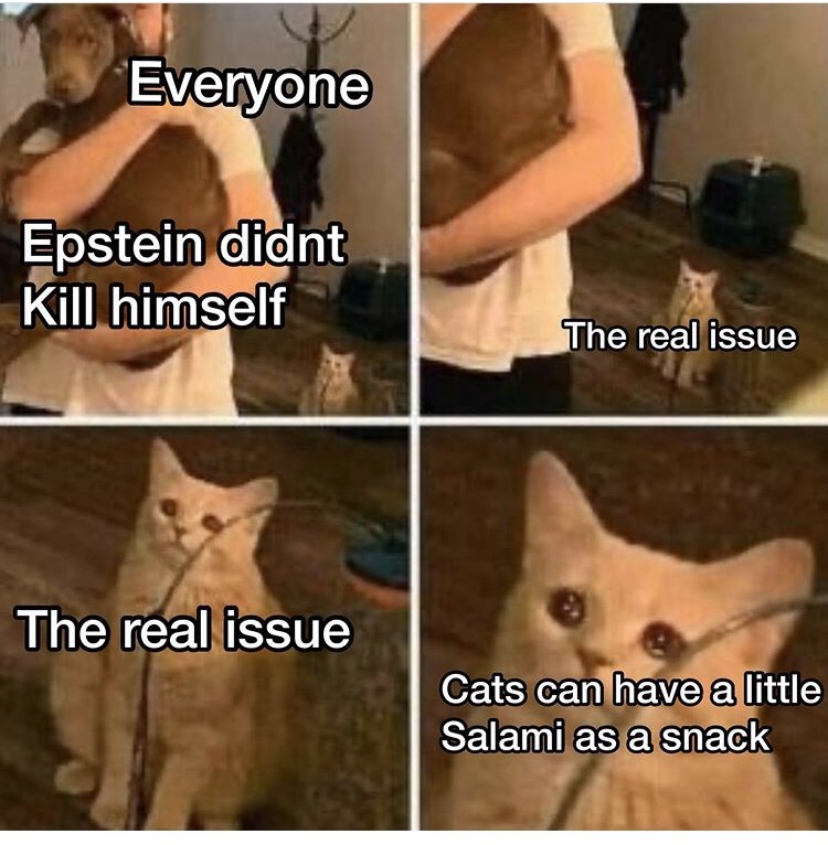 salami cat meme - Everyone Epstein didnt Kill himself The real issue The real issue Cats can have a little Salami as a snack