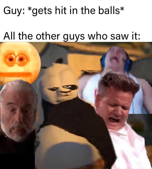 best-meme-ever - Guy gets hit in the balls All the other guys who saw it