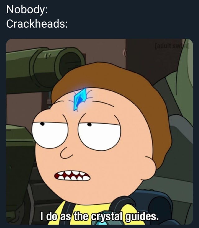 best-meme-ever-Internet meme - Nobody Crackheads adults I do as the crystal guides.