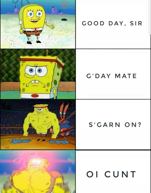 best-meme-ever-strong spongebob meme template - Good Day, Sir G'Day Mate S'Garn On? Ot Cunt