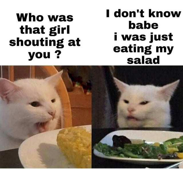 best-meme-ever-table cat - Who was that girl shouting at you? I don't know babe i was just eating my salad