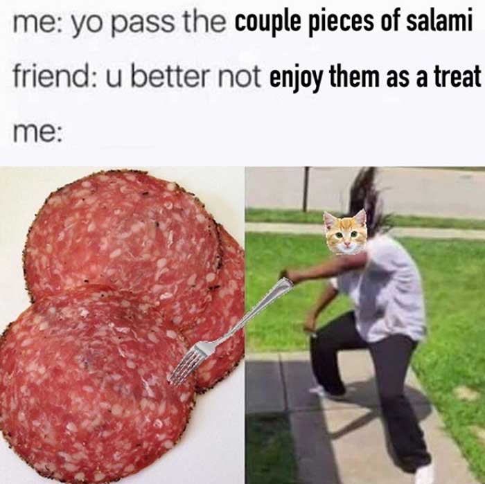 cats can have a little salami meme with the caption 'me - yo pass the couple pieces of salami' 'friend - u better not enjoy them as a treat' and then a picture of salami and cat grabbing them with a fork