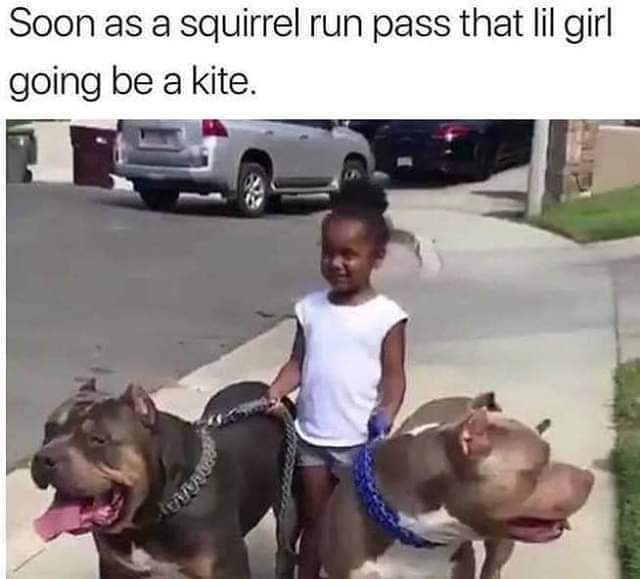 best-meme-ever-soon as a squirrel run past - Soon as a squirrel run pass that lil girl going be a kite. ny