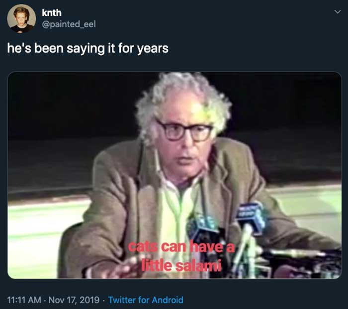 tweet from painted_eel with the caption 'he's been saying it for years' and a screenshot from an old video of Bernie Sanders with the subtitles 'cats can have a little salami'