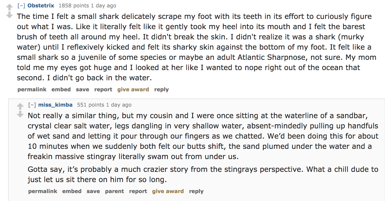 Ask Reddit - The time I felt a small shark delicately scrape my foot with its teeth in its effort to curiously figure out what I was. it literally felt it gently took my heel into its mouth and I felt the barest brush of teet